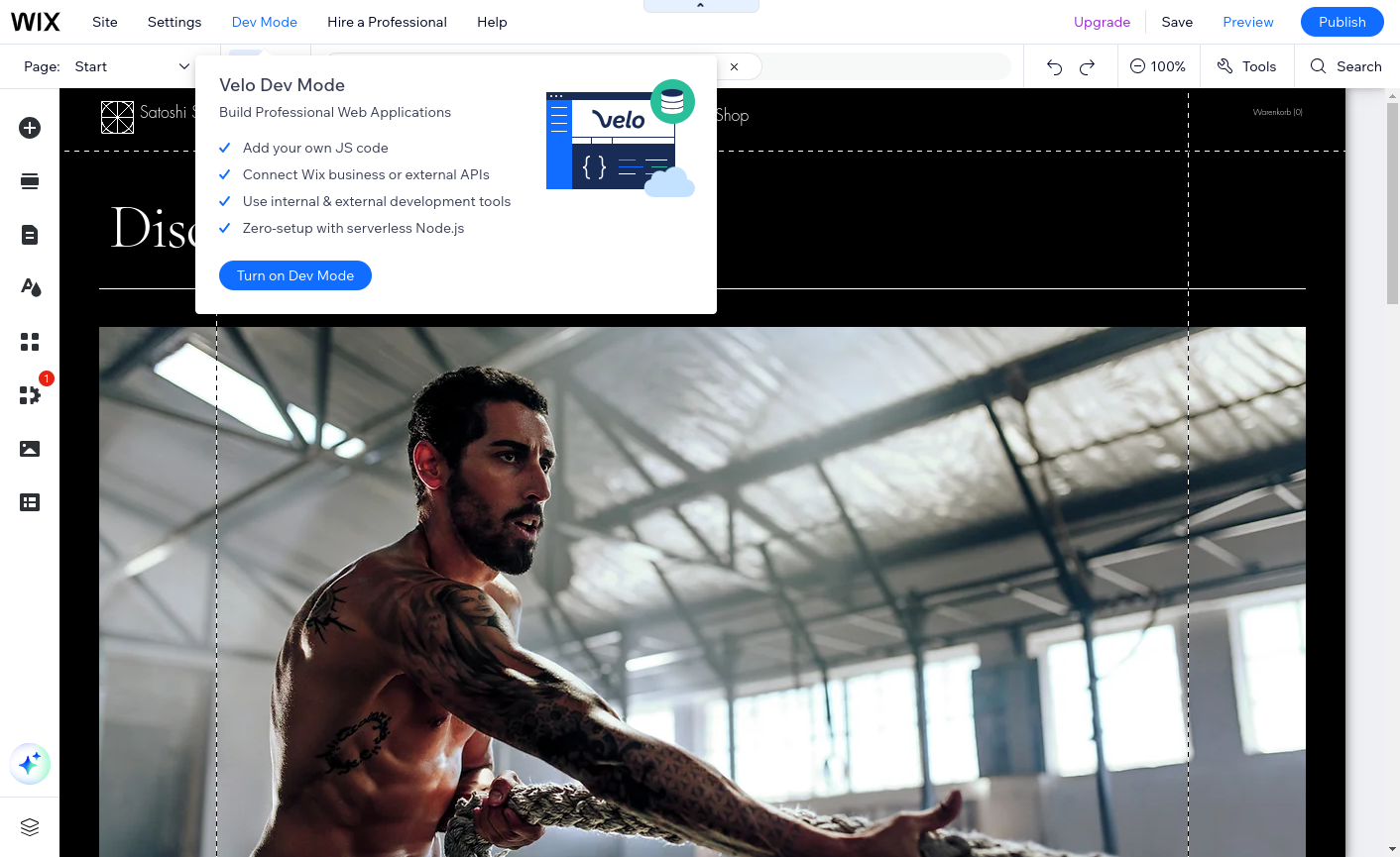 Dev Mode Dev Mode