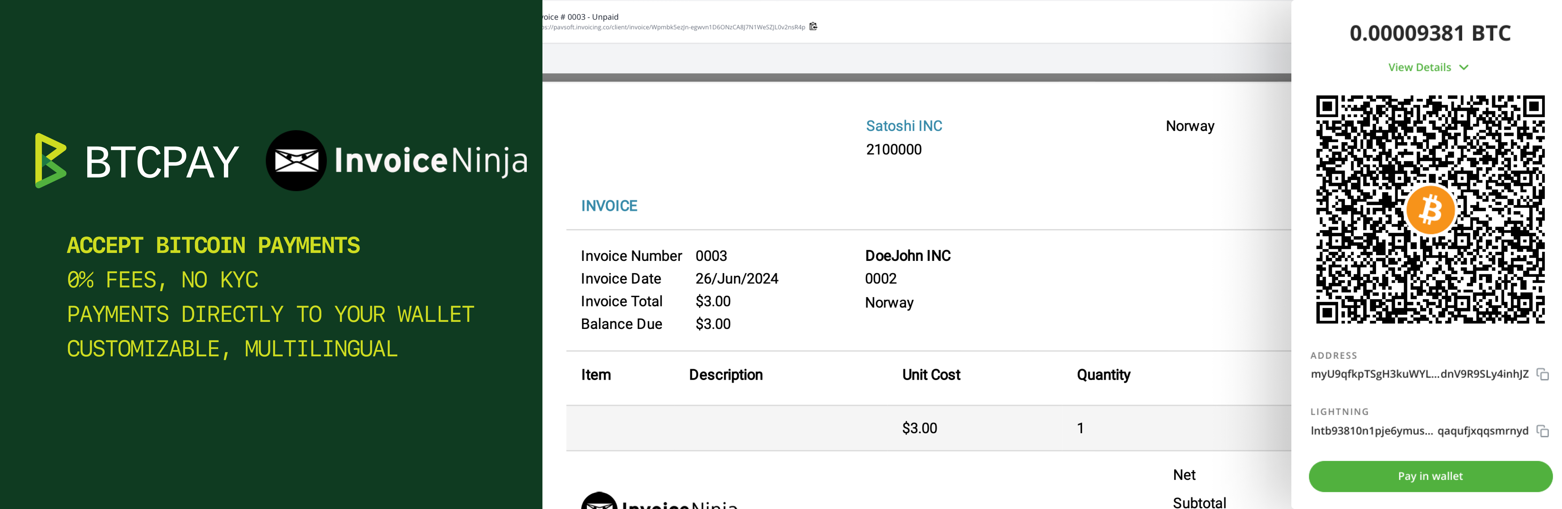 BTCPay Server Invoice BTCPay Server Invoice