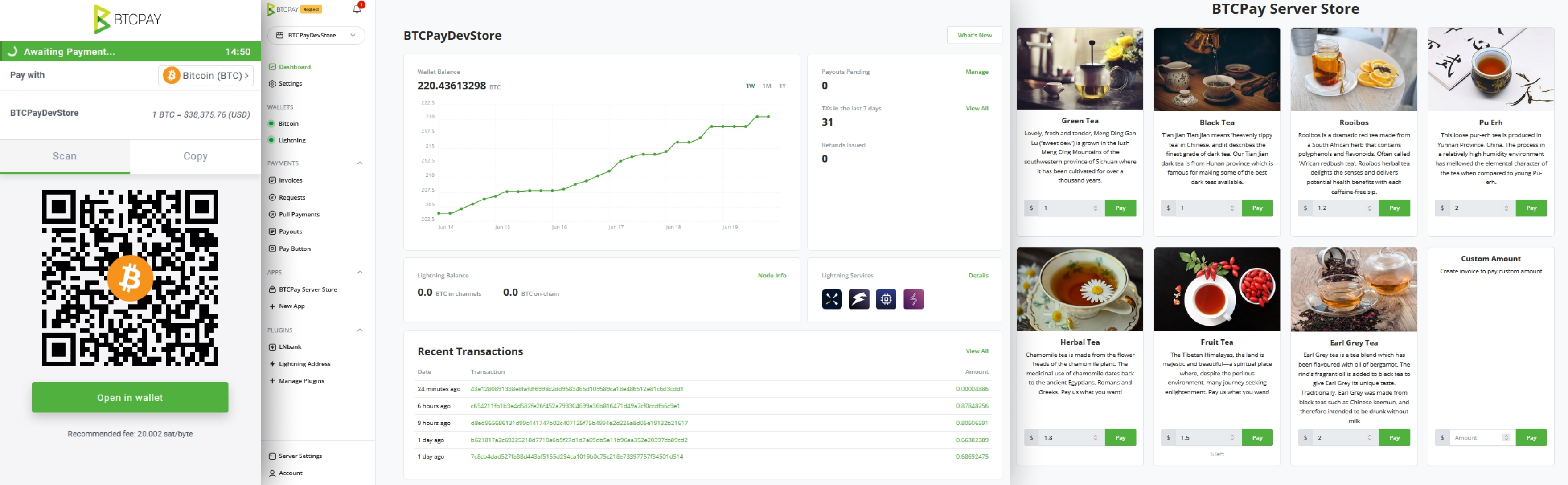 BTCPay Server screenshot BTCPay Server