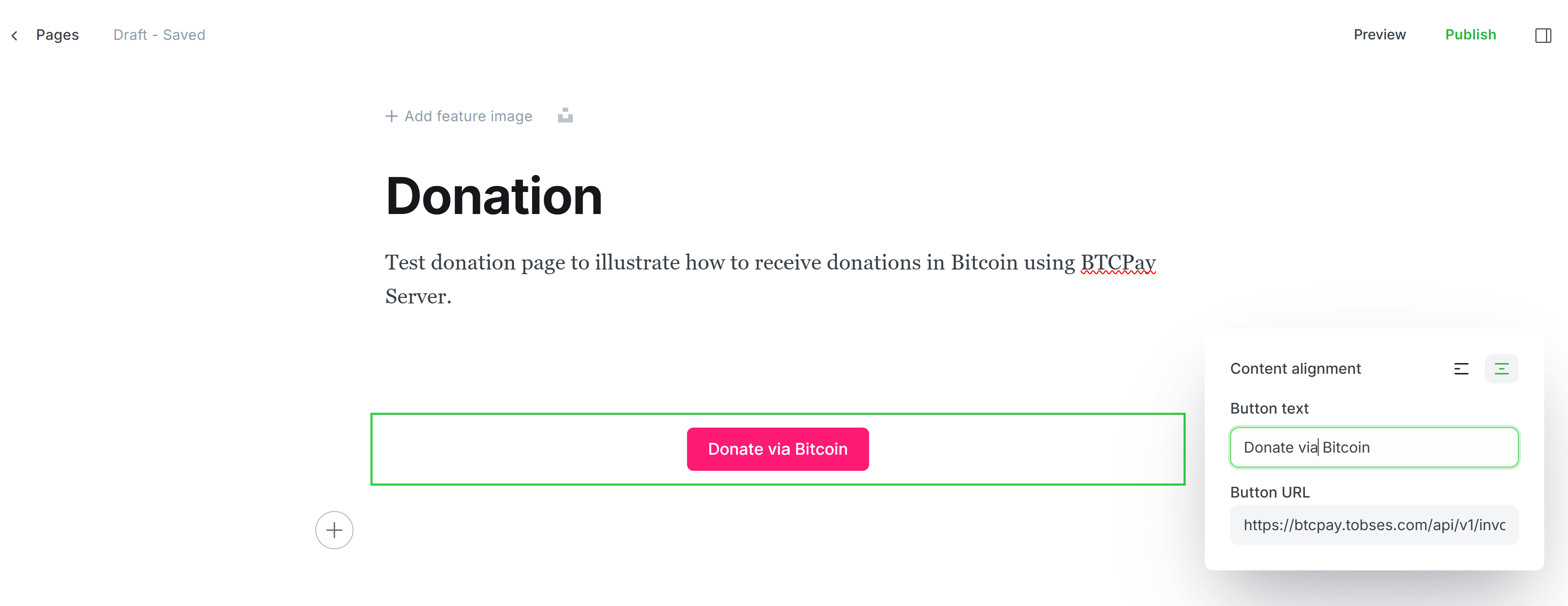 BTCPay Server Ghost img 8 BTCPay Server Ghost img 8