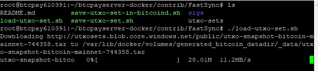 BTCPay Server FastSync BTCPay Server FastSync